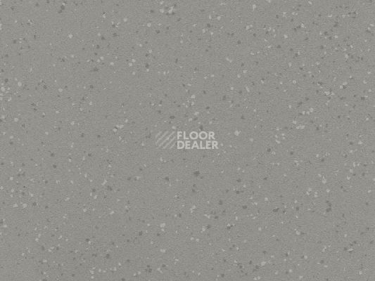 Линолеум Polyflor Polysafe Verona Pur 5203 Dolphin Grey фото 1 | FLOORDEALER